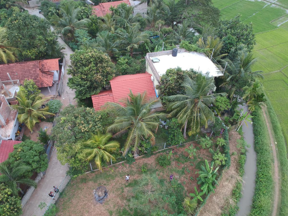 Rice Field View Home Stay Tangalle Exterior foto
